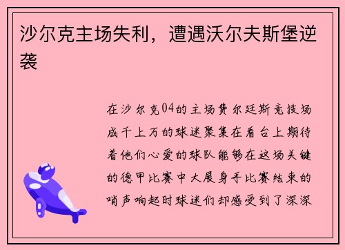 沙尔克主场失利，遭遇沃尔夫斯堡逆袭