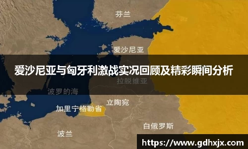 爱沙尼亚与匈牙利激战实况回顾及精彩瞬间分析