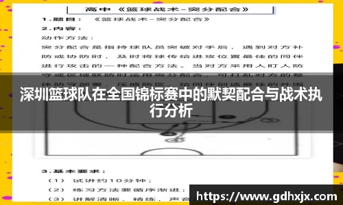 深圳篮球队在全国锦标赛中的默契配合与战术执行分析