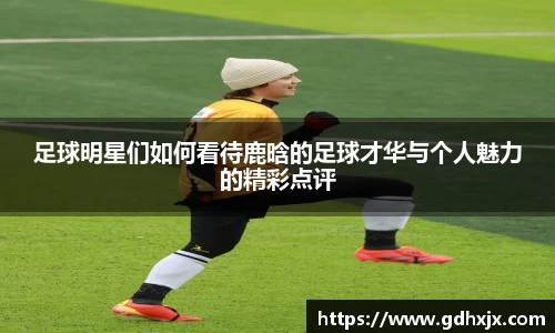 jbo竞博.体育官方网站